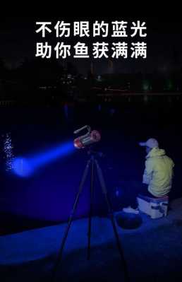 夜钓用led灯-夜钓led灯水下-第3张图片-DAWOOD LED频闪灯