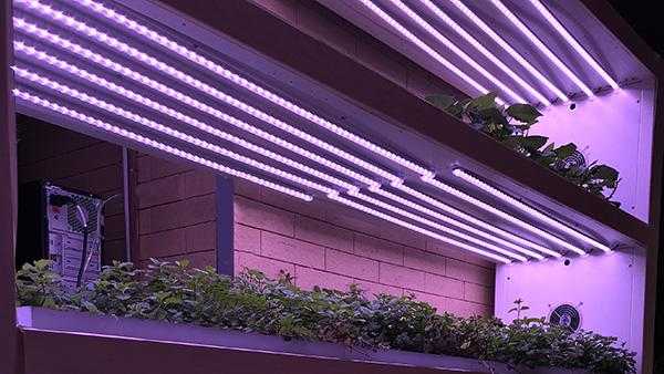 led植物灯铝型材（led植物灯具）-第2张图片-DAWOOD LED频闪灯