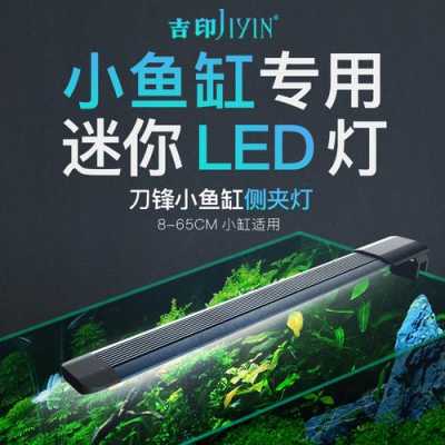  小鱼缸led灯小型「小鱼缸用led灯」-第3张图片-DAWOOD LED频闪灯