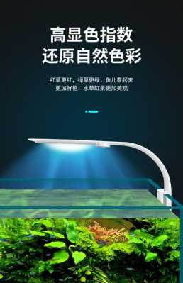  小鱼缸led灯小型「小鱼缸用led灯」-第2张图片-DAWOOD LED频闪灯