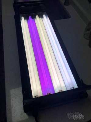 荧光管led水草灯（荧光管led水草灯图片）-第3张图片-DAWOOD LED频闪灯