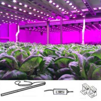 植物灯与普通led_植物灯和日光灯-第1张图片-DAWOOD LED频闪灯