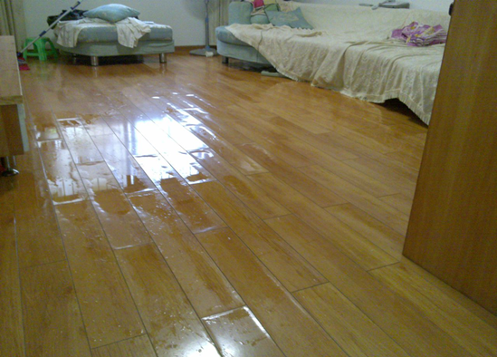 为什么寝室地板渗水,宿舍地板出水 -第2张图片-DAWOOD LED频闪灯