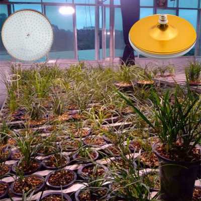 兰花led植物生长灯_兰花植物灯每天用多久-第2张图片-DAWOOD LED频闪灯