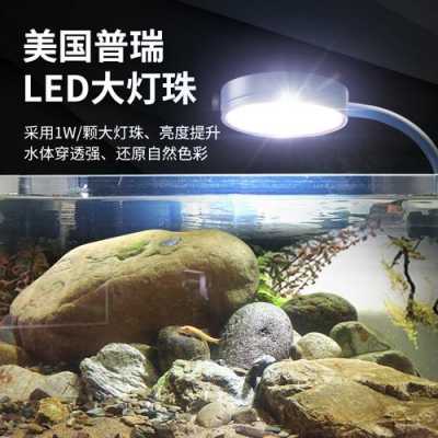 水族用led灯珠（水族led灯具）-第3张图片-DAWOOD LED频闪灯