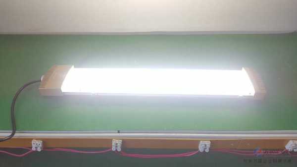 荧光灯变色 荧光转换白色LED灯-第2张图片-DAWOOD LED频闪灯