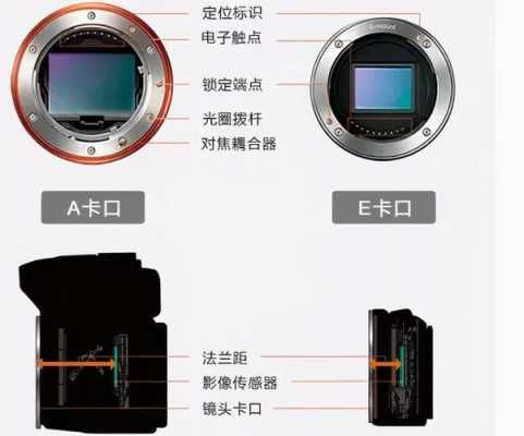 佳能卡口的镜头用在尼康相机怎么办-sony尼康佳能镜头卡口-第1张图片-DAWOOD LED频闪灯