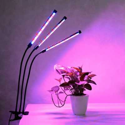 普洱led植物生长灯,普洱led植物生长灯好用吗 -第1张图片-DAWOOD LED频闪灯