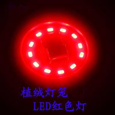 灯笼专用led电子灯_灯笼专用led灯泡-第2张图片-DAWOOD LED频闪灯