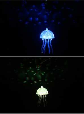 水母要用led灯吗-第3张图片-DAWOOD LED频闪灯