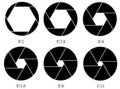 电影镜头t值光圈和普通镜头f的光圈区别-镜头t光圈值-第2张图片-DAWOOD LED频闪灯
