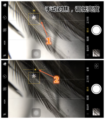 手机镜头对焦的移动距离_手机镜头对焦模糊不清-第2张图片-DAWOOD LED频闪灯