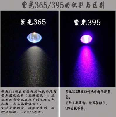 紫光395led灯,紫光灯395和365区别 -第1张图片-DAWOOD LED频闪灯