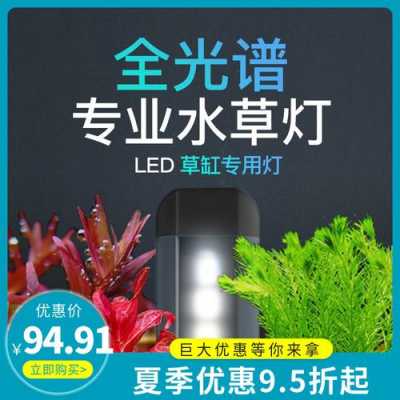 led灯能照出绿苔吗 led灯能出绿水-第1张图片-DAWOOD LED频闪灯