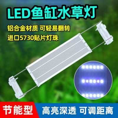 河北led水族灯厂家,河北led水族灯厂家电话 -第2张图片-DAWOOD LED频闪灯