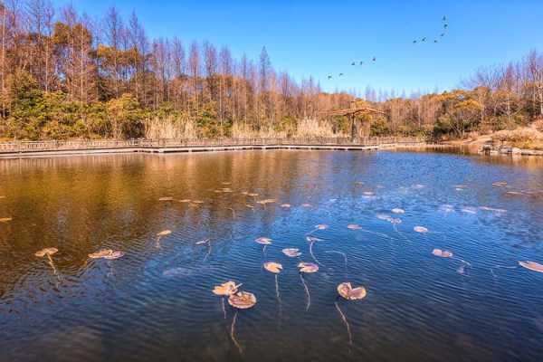 佳能35mm镜头 佳能35镜头拍风景吗-第1张图片-DAWOOD LED频闪灯