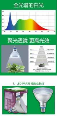 led灯光植物光合作用吗-第3张图片-DAWOOD LED频闪灯