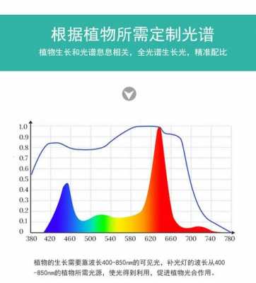 led植物灯珠光谱,全光谱植物灯珠 -第1张图片-DAWOOD LED频闪灯