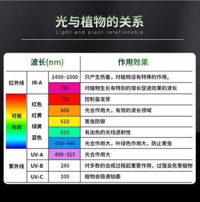 led植物灯珠光谱,全光谱植物灯珠 -第2张图片-DAWOOD LED频闪灯