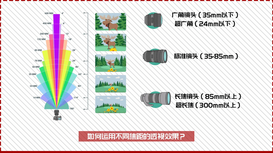 标准变焦镜头视角,变焦镜头范围 -第2张图片-DAWOOD LED频闪灯