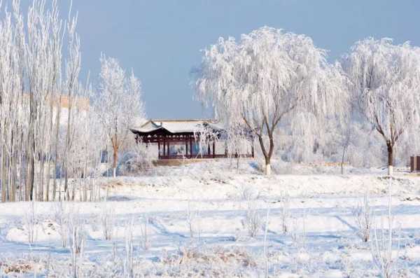 雪景用什么镜头好_雪景用什么镜头好呢-第1张图片-DAWOOD LED频闪灯