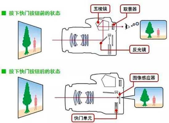 镜头倒接环作用_倒接环和近摄镜的区别-第3张图片-DAWOOD LED频闪灯