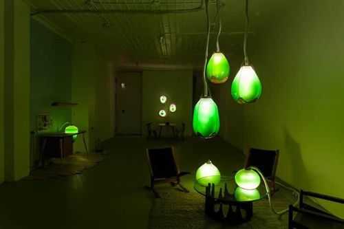  led灯可以照植物「led灯照植物可以光合作用吗」-第2张图片-DAWOOD LED频闪灯
