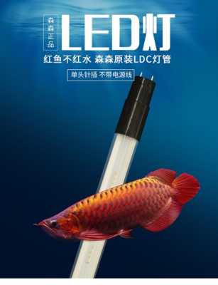 鱼缸led灯珠变红_鱼缸led灯变色了-第3张图片-DAWOOD LED频闪灯