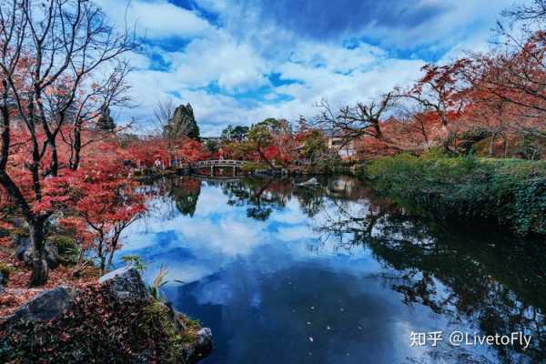 索尼风景镜头推荐,索尼风景镜头推荐知乎 -第2张图片-DAWOOD LED频闪灯