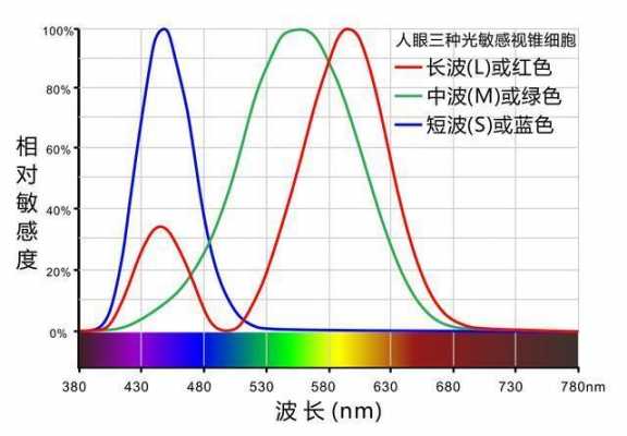 蓝光灯波长450470-LED蓝光灯波段多少-第3张图片-DAWOOD LED频闪灯