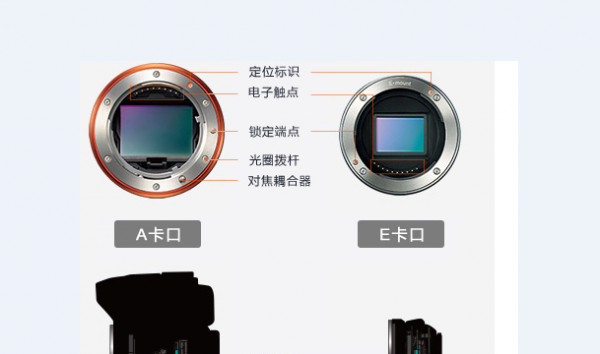 索尼e系列存储卡-索尼e卡口兼容什么镜头-第1张图片-DAWOOD LED频闪灯