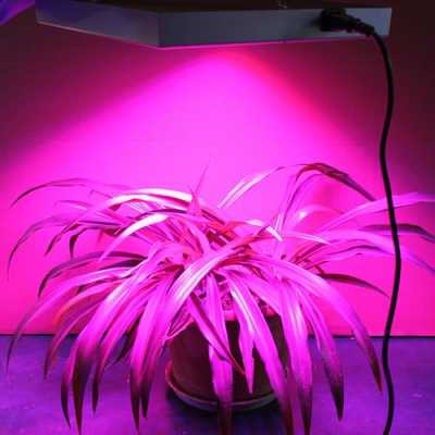led植物生长灯缺点和优点-第2张图片-DAWOOD LED频闪灯