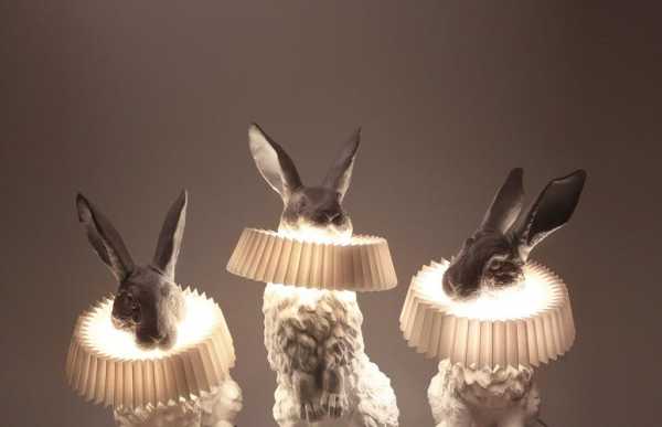 兔子灯 diy-led灯给兔子保暖-第2张图片-DAWOOD LED频闪灯