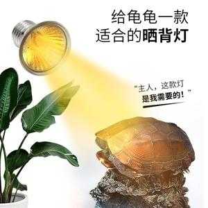  普通led灯照乌龟「电灯照乌龟有用吗」-第1张图片-DAWOOD LED频闪灯