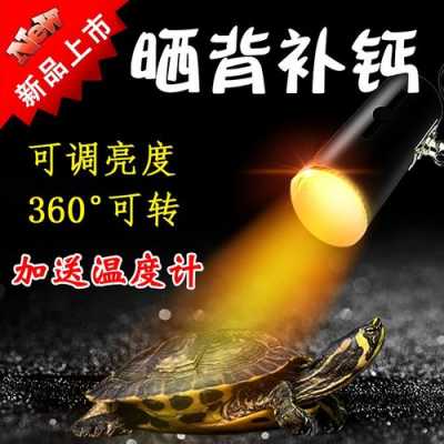  普通led灯照乌龟「电灯照乌龟有用吗」-第3张图片-DAWOOD LED频闪灯