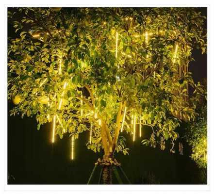 树灯带怎么绕在树上 树木led灯带效果-第1张图片-DAWOOD LED频闪灯