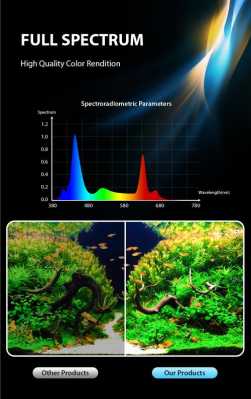 鱼缸led灯全光谱「鱼缸led灯全光谱怎么选」-第1张图片-DAWOOD LED频闪灯