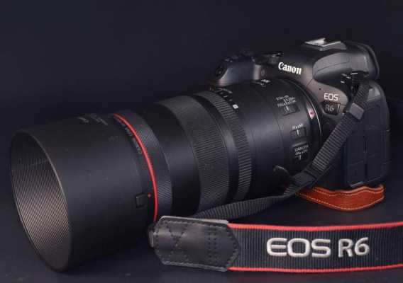 佳能60d微距镜头 eos600微距镜头-第2张图片-DAWOOD LED频闪灯