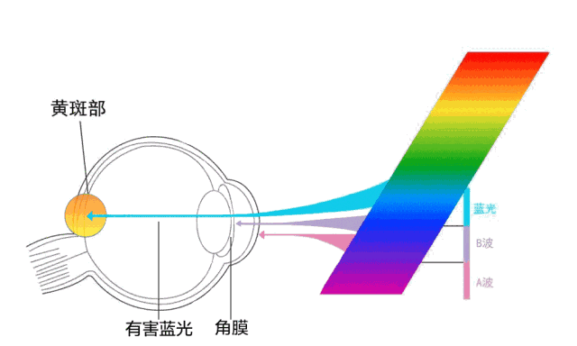 无蓝光灯珠和普通灯珠 led灯无蓝光危害-第1张图片-DAWOOD LED频闪灯