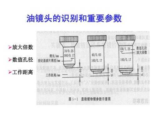 倒接镜头放大倍数,镜头倒接的放大倍数 -第3张图片-DAWOOD LED频闪灯