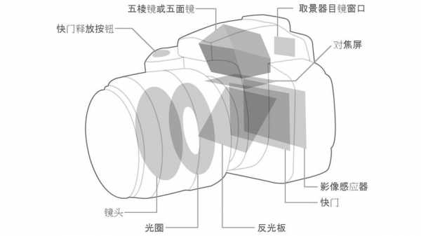 单反的镜头构造_单反相机镜头结构图-第1张图片-DAWOOD LED频闪灯