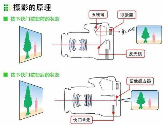 拍照镜头解析（拍照镜头解析方法）-第3张图片-DAWOOD LED频闪灯