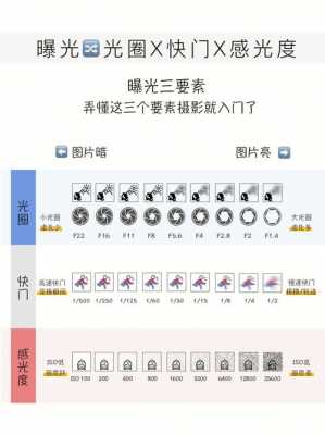 快门次数是镜头还是机身（快门次数重要吗）-第3张图片-DAWOOD LED频闪灯