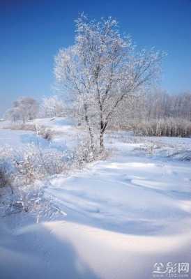 佳能雪景拍摄参数-佳能哪个镜头适合拍雪山-第3张图片-DAWOOD LED频闪灯